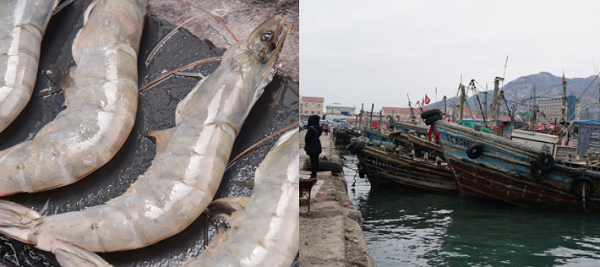 建造一個海鮮冷庫多少錢？